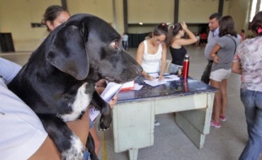 Vacunaci&oacute;n antirr&aacute;bica gratuita en barrio Zaspe de Santo Tom&eacute; 