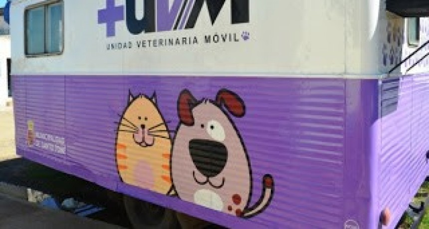 Castraci&oacute;n de mascotas en vecinal Adelina Este de Santo Tom&eacute; 