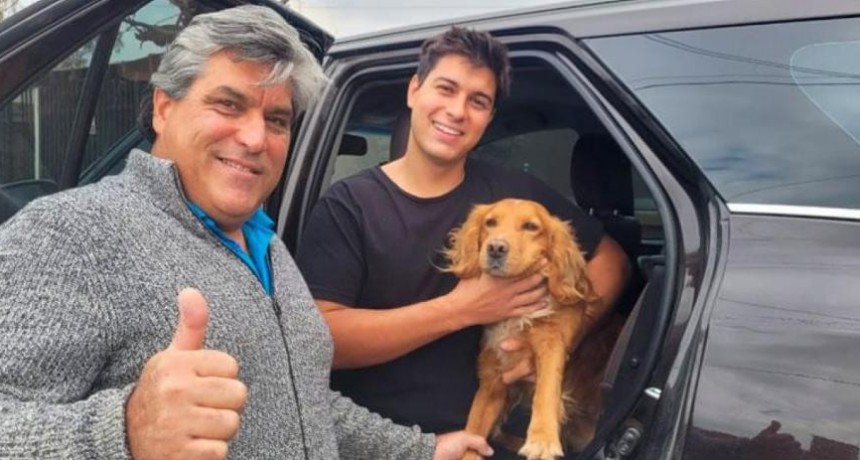 Perro manej&oacute; y choc&oacute; el auto de su due&ntilde;o