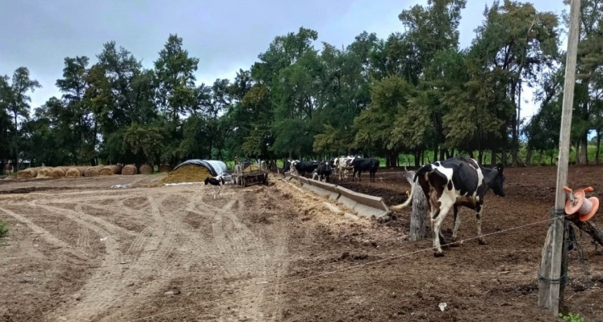 Tamberos piden medidas urgentes
