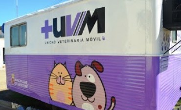 Castraci&oacute;n de mascotas en vecinal Adelina Centro de Santo Tom&eacute; 