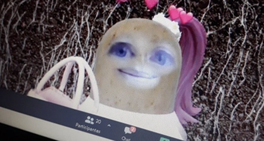 Docente tuvo que dar clases por Zoom con un filtro que hab&iacute;a dejado su hija