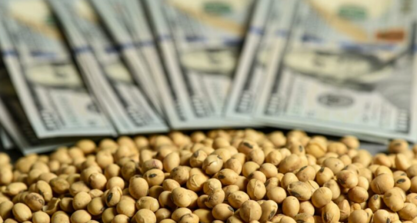 La implementaci&oacute;n del &ldquo;d&oacute;lar soja&rdquo; increment&oacute; un 80% el tr&aacute;nsito de camiones