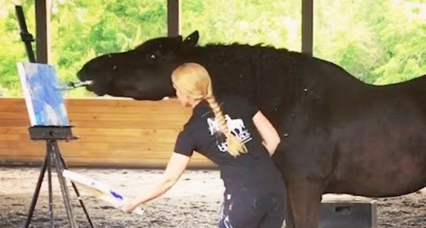 Caballo pinta cuadros que valen 400 d&oacute;lares
