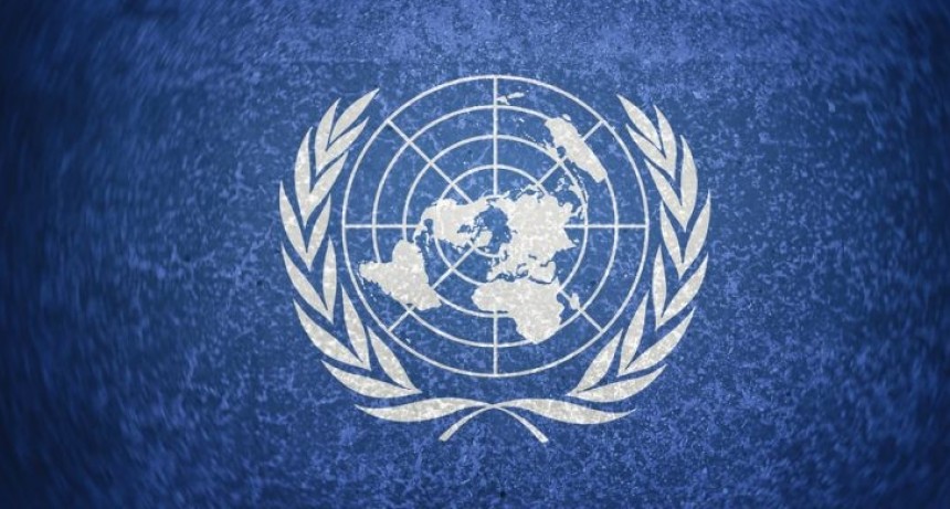 Emilia Gonz&aacute;lez Cian: "La Onu esta en su momento de m&aacute;xima tensi&oacute;n desde que naci&oacute;"