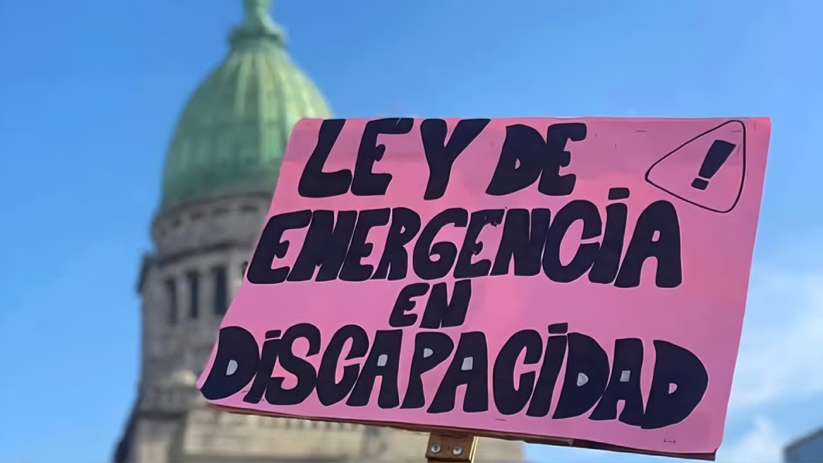 Gabriela Ortolochipi: "Es complejo judicializar la suspensi&oacute;n de la emergencia en discapacidad"