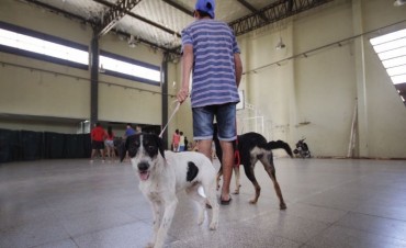 Castraci&oacute;n de mascotas en vecinal San Mart&iacute;n de Santo Tom&eacute; 