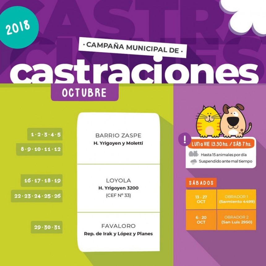 Castraci&oacute;n de mascotas en barrio Zaspe de Santo Tom&eacute; 