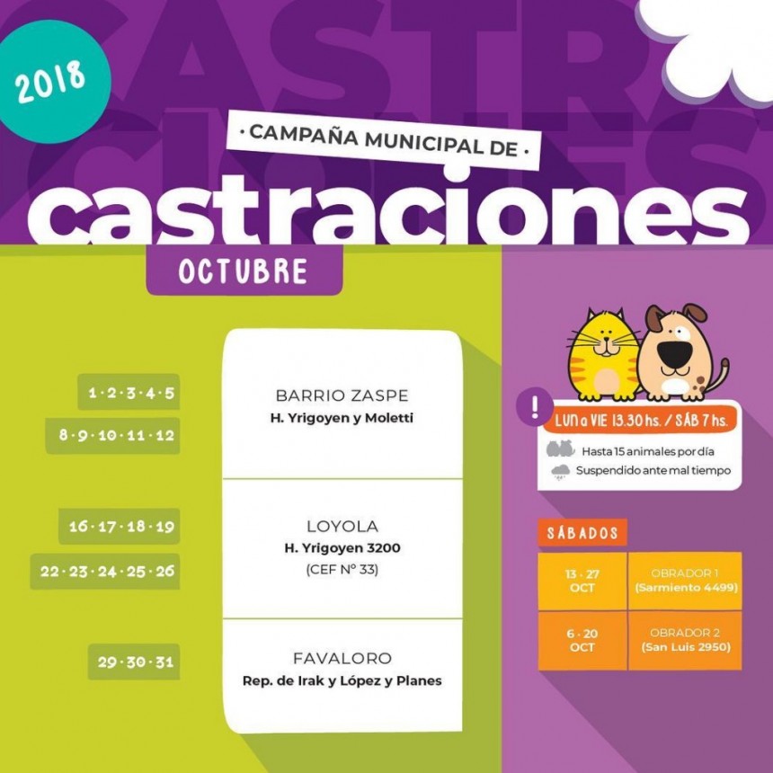 Castraci&oacute;n de mascotas en vecinal Favaloro de Santo Tom&eacute; 