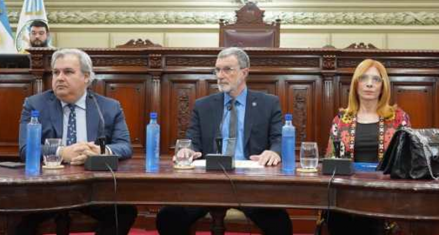Legisladores quedaron disconformes con la presentaci&oacute;n de Ana Morel por emergencia en Seguridad
