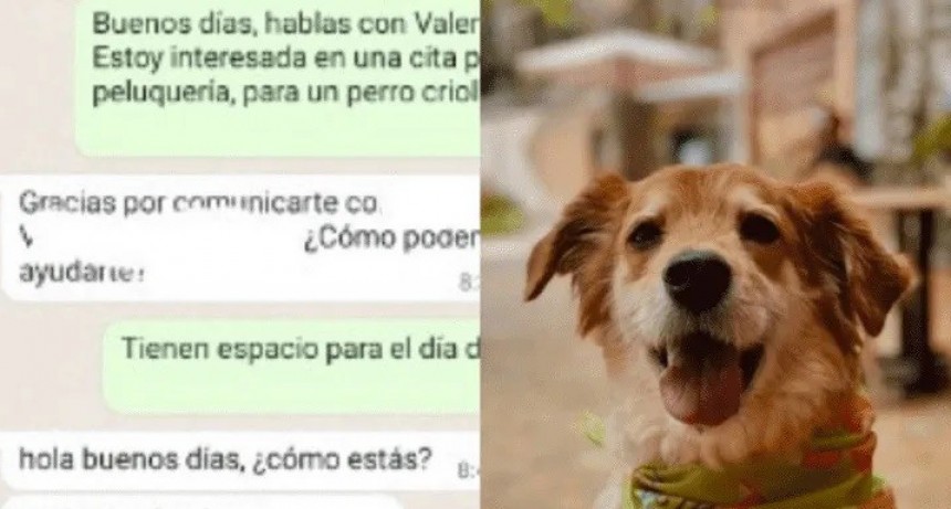 Una mujer le puso "Quien" como nombre a su perra