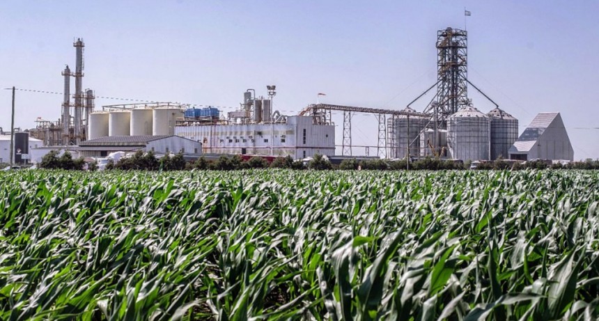 El sector del biocombustible considera que el lobby petrolero extorsiona con el desabastecimiento