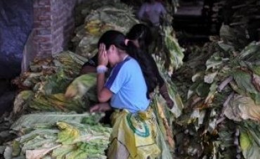 Trabajan m&aacute;s de setecientos mil chicos en el pa&iacute;s