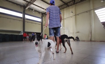 Castraci&oacute;n de mascotas en vecinales Caba&ntilde;a Leiva y Alvear de Santa Fe 