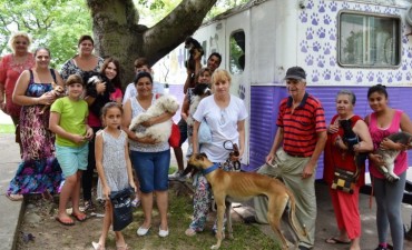 Castraci&oacute;n de mascotas en Santo Tom&eacute;