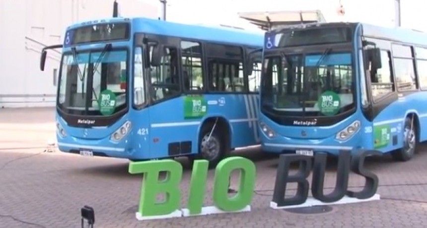 El transporte p&uacute;blico podr&iacute;a utilizar biodiesel en Santa Fe