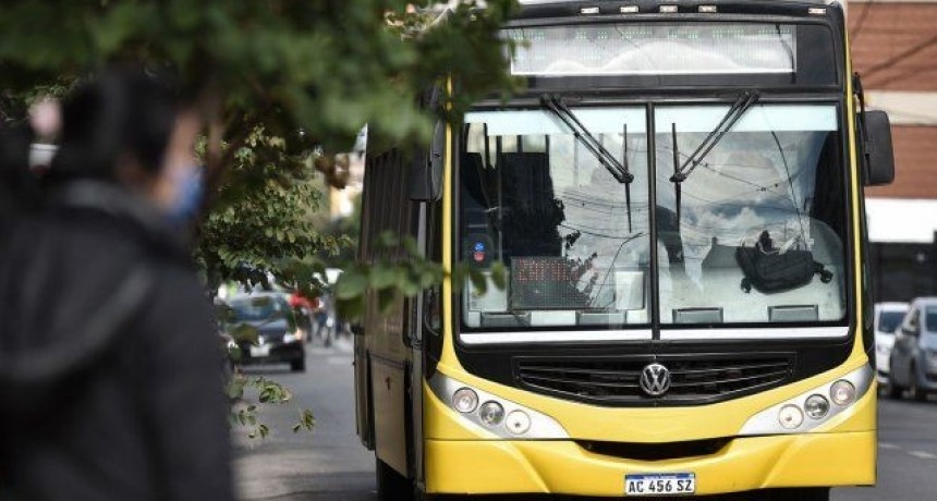 Empresas del transporte urbano pidieron actualizar el precio del boleto cada 30 d&iacute;as