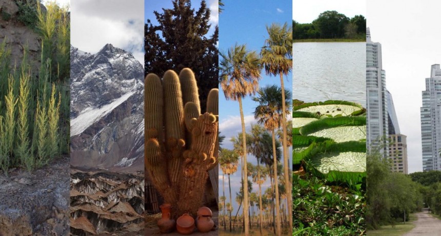 Consejo Federal del Medio Ambiente