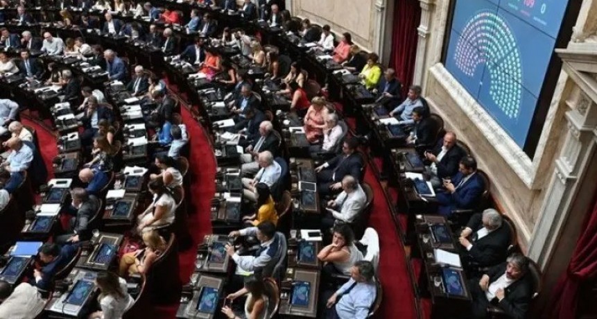 La oposici&oacute;n pretende reformar los DNUs