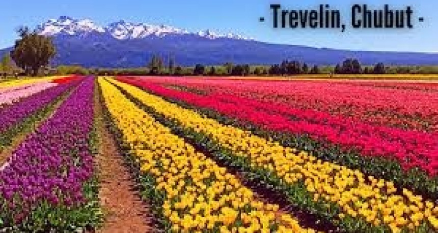 Lugares para visitar y disfrutar...