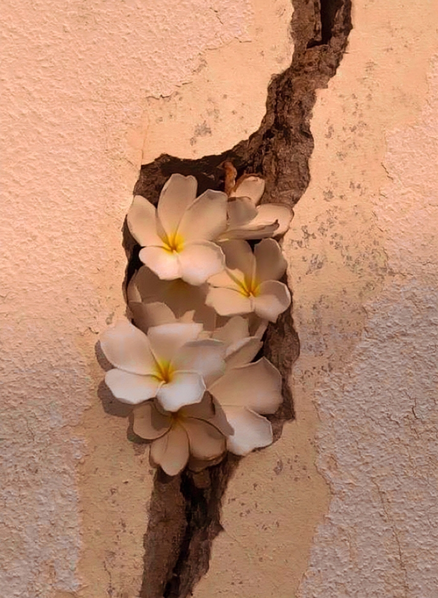 Pablo Petroni: &ldquo;El problema de la felicidad es genuinamente humano&rdquo;