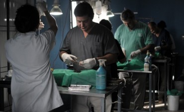 Castraci&oacute;n de mascotas en vecinal Sarmiento de Santo Tom&eacute; 