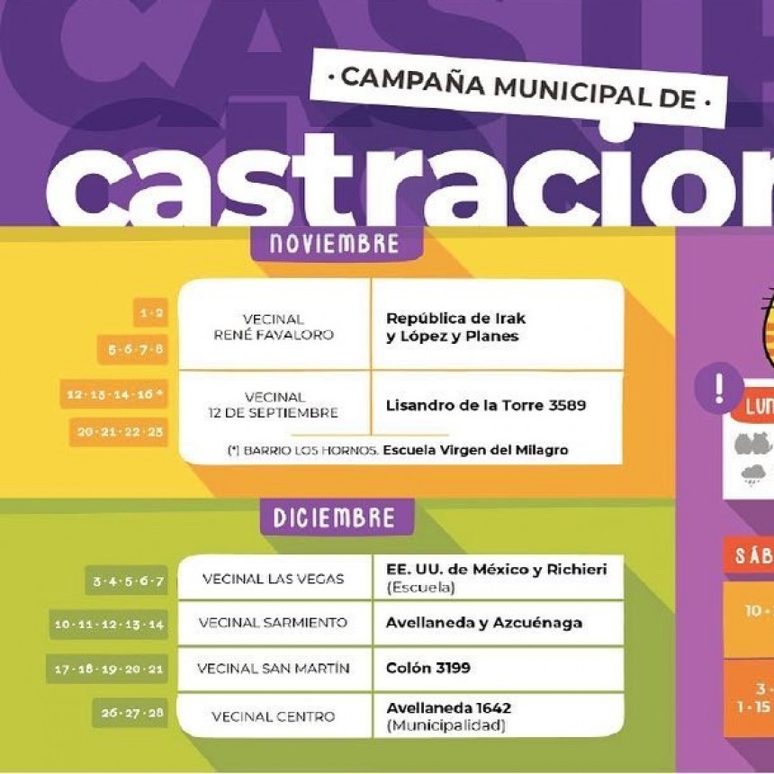 Castraci&oacute;n de mascotas en vecinal Sarmiento de Santo Tom&eacute; 