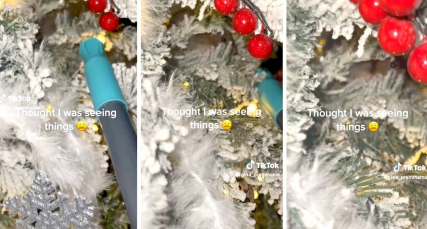 Mujer tir&oacute; su &aacute;rbol de Navidad tras encontrar una rata