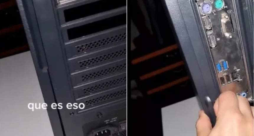 Abri&oacute; su computadora porque escuchaba ruidos y encontr&oacute; algo inesperado