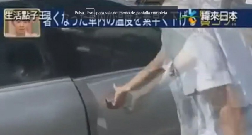 El truco japon&eacute;s para bajar la temperatura en el interior de un auto