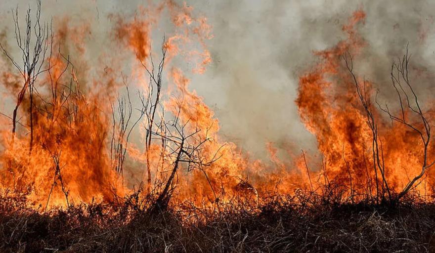La Corte Suprema conden&oacute; al Estado Nacional y a tres provincias por quema de pastizales 